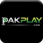 PakPlay Game unique features and key highlights dashboard